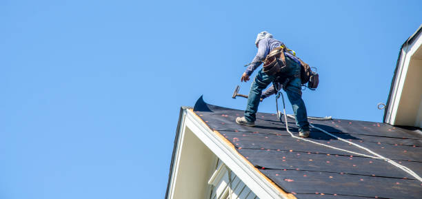 Best Roof Gutter Cleaning  in Rendon, TX